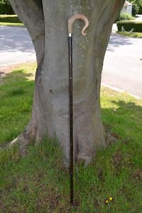 Walking Sticks - Ram's Horn Shepherds Crook.