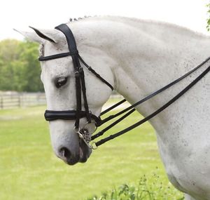 ANTARES SIGNATURE DOUBLE ENGLISH BRIDLE WITH REINS SIZE 2 BLACK