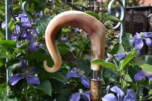 Walking Sticks - Ram's Horn Shepherds Crook.