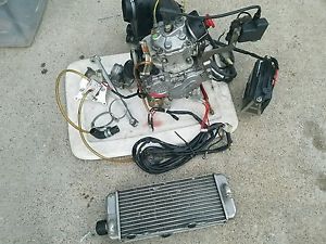 Racing kart rotax senior 125cc