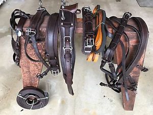 ***Leaders Worldwide Inc*** Leather Pleasure Harness ~ Pony~ Brown!