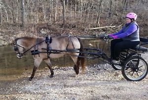 Pony Carriage for miniature horses & small ponies rim 22",  wheel 27",  Navy