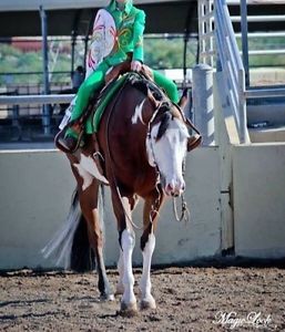 Youth showmanship/ western rail complete Show outfit