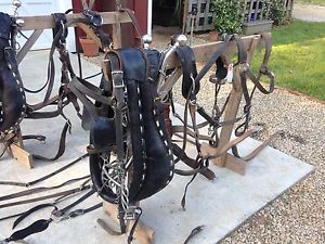 Amish Made Team / Double Harness Equestrian Stainless Steel/Leather Free Shippin