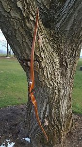 Heartland Pulse custom r/d longbow, 49# @ 28", right hand